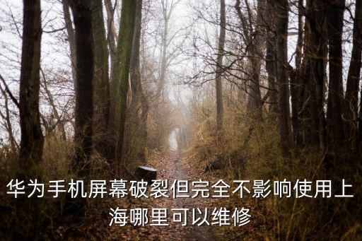 华为手机屏幕破裂但完全不影响使用上海哪里可以维修