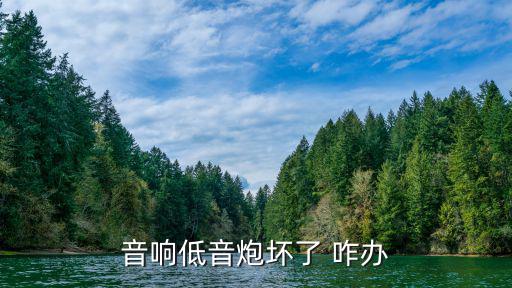 低音炮坏了哪里修，我的低音炮坏了应该怎么修