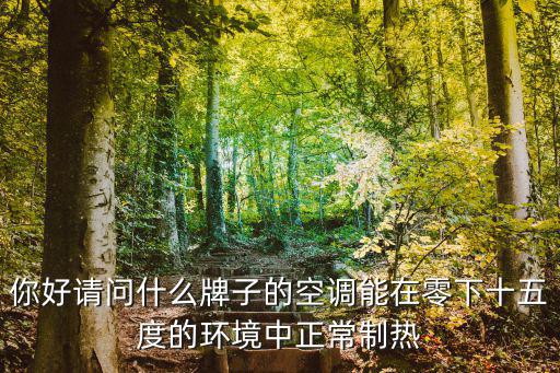 你好请问什么牌子的空调能在零下十五度的环境中正常制热