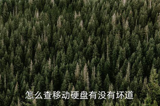 怎么检测移动硬盘哪里坏了，怎么查移动硬盘有没有坏道