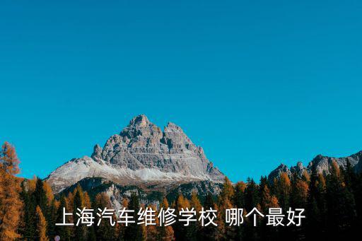上海汽车维修学校 哪个最好