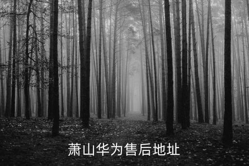 萧山华为售后地址
