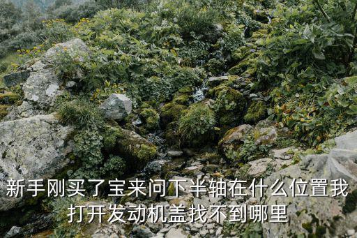 新手刚买了宝来问下半轴在什么位置我打开发动机盖找不到哪里