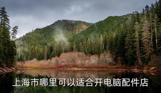 上海市哪里可以适合开电脑配件店
