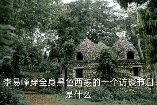 李易峰穿全身黑色西装的一个访谈节目是什么