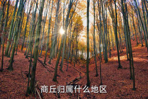 商丘时尚花园属于哪个社区，商丘归属什么地区