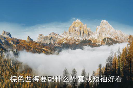 棕色西裤要配什么外套或短袖好看