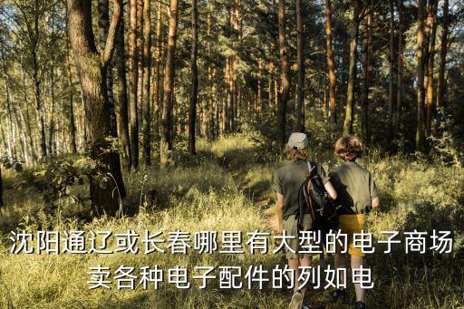 沈阳通辽或长春哪里有大型的电子商场卖各种电子配件的列如电