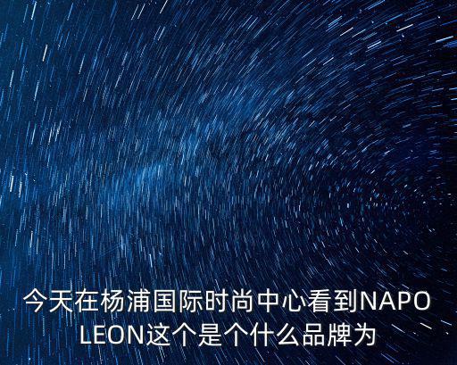 今天在杨浦国际时尚中心看到NAPOLEON这个是个什么品牌为