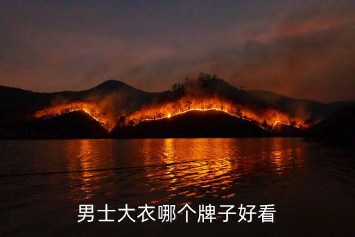 男士大衣哪个牌子好看
