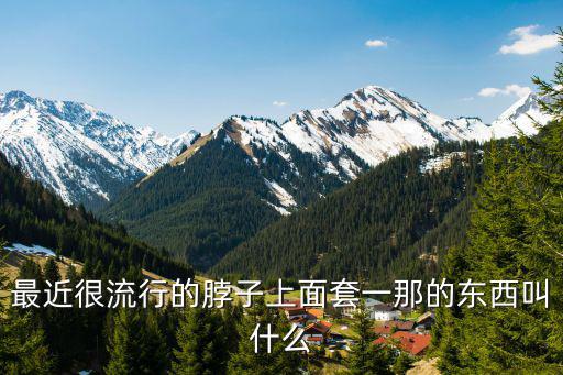 最近很流行的脖子上面套一那的东西叫什么