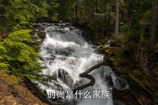 时尚是什么家族