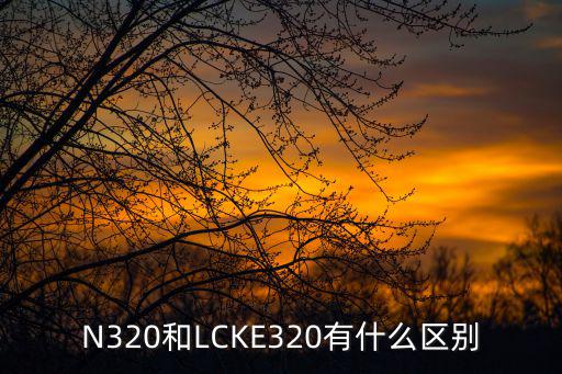 N320和LCKE320有什么区别