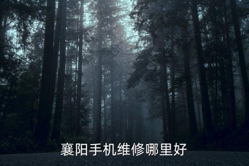 襄阳手机维修哪里好