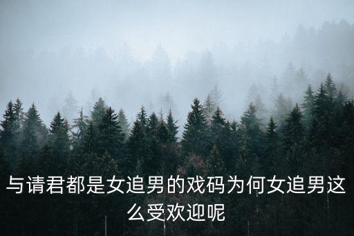 与请君都是女追男的戏码为何女追男这么受欢迎呢