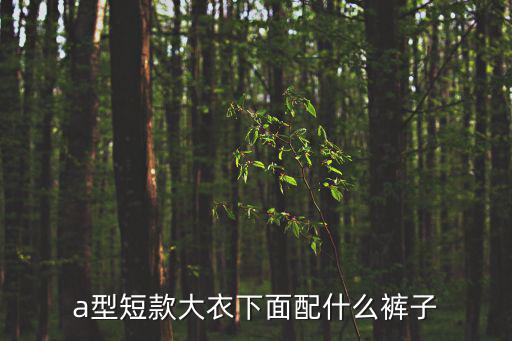 a型短款大衣下面配什么裤子