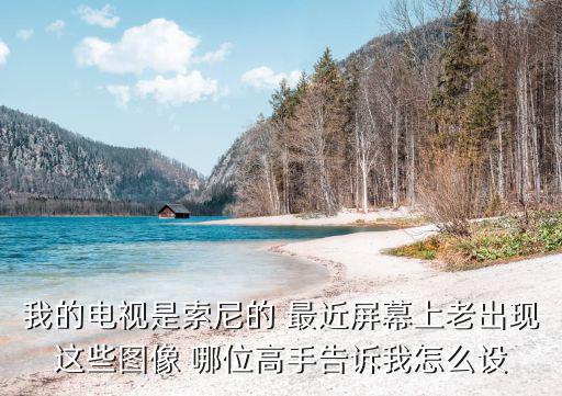 我的电视是索尼的 最近屏幕上老出现这些图像 哪位高手告诉我怎么设