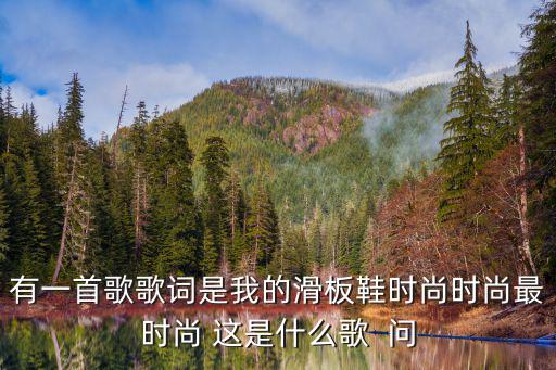 有一首歌歌词是我的滑板鞋时尚时尚最时尚 这是什么歌  问