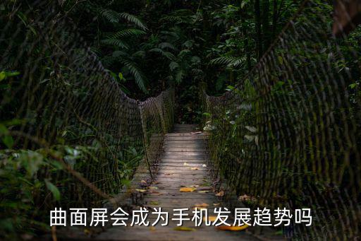 为什么曲面屏会成为时尚，曲面屏会成为手机发展趋势吗