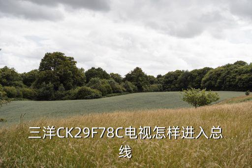 三洋CK29F78C电视怎样进入总线