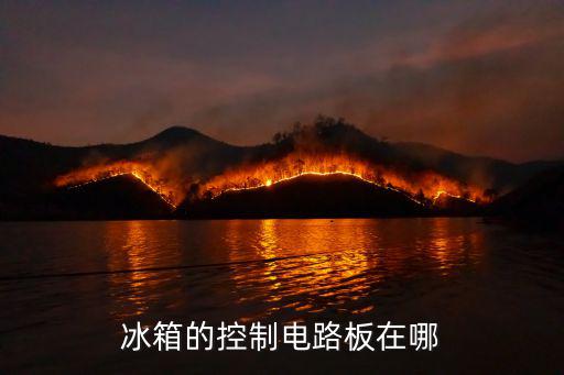 电冰箱主板在哪里，冰箱的控制电路板在哪