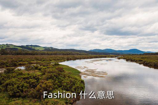 Fashion 什么意思