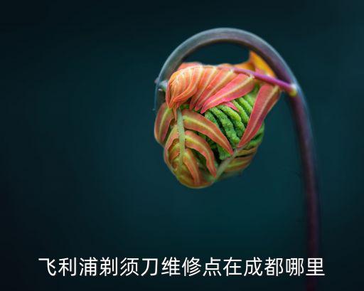 飞利浦剃须刀维修点在成都哪里