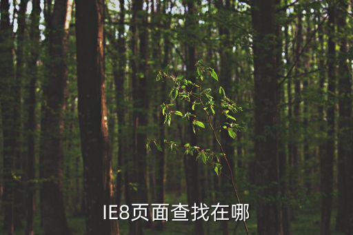 IE8页面查找在哪