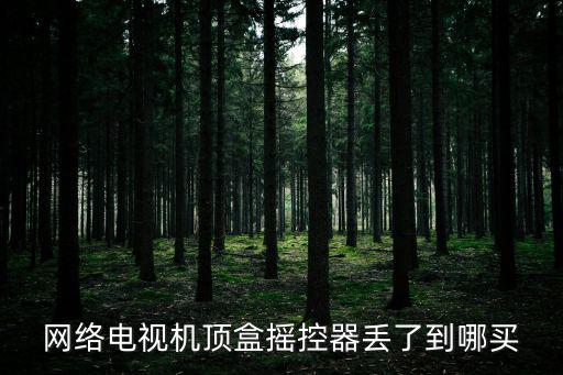 创维29t1900电视遥控器哪里有卖，创维29D98HT原装电视遥控器多少钱