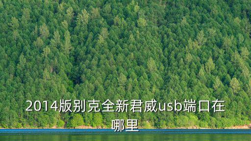 2014版别克全新君威usb端口在哪里