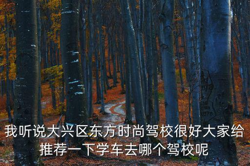 大兴东方时尚哪个教练，我听说大兴区东方时尚驾校很好大家给推荐一下学车去哪个驾校呢