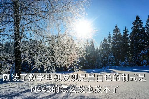 刚装了数字电视发现是黑白色的制式是N443的怎么改也改不了