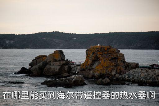 在哪里能买到海尔带遥控器的热水器啊