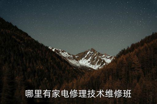 哪里有家电修理技术维修班