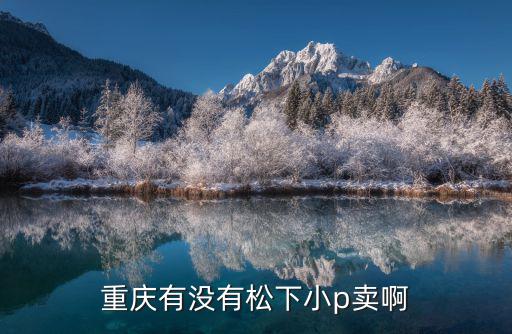 重庆有没有松下小p卖啊