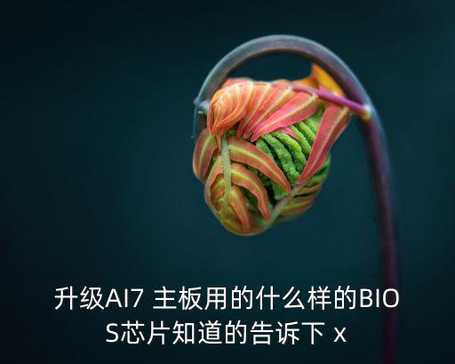 升级小板用什么芯片制做，升级AI7 主板用的什么样的BIOS芯片知道的告诉下 x