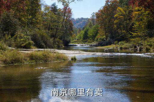 南京哪里有卖