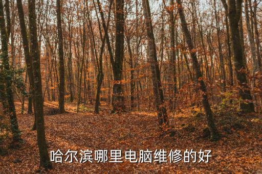 哈尔滨哪里电脑维修的好
