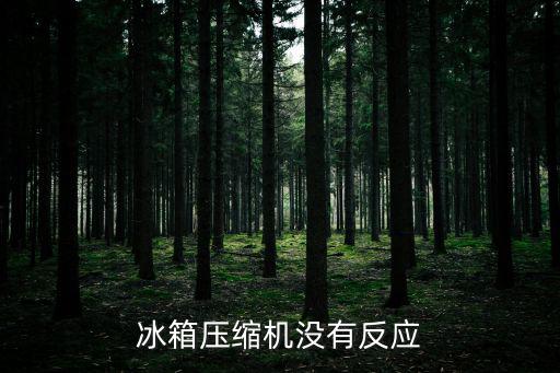 冰箱压缩机没有反应