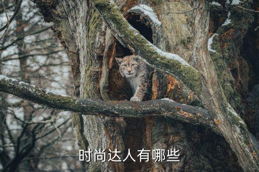 时尚达人有哪些