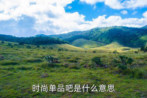 时尚单品吧是什么意思