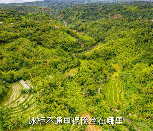 冰柜不通电保险丝在哪里