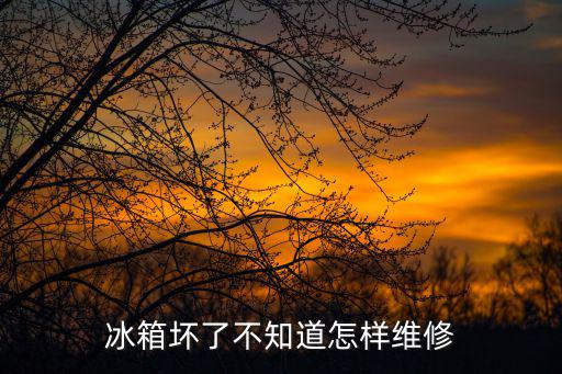 冰箱的修理工具需要哪些，我家的冰箱坏了我想自己修需要用到什么螺丝刀