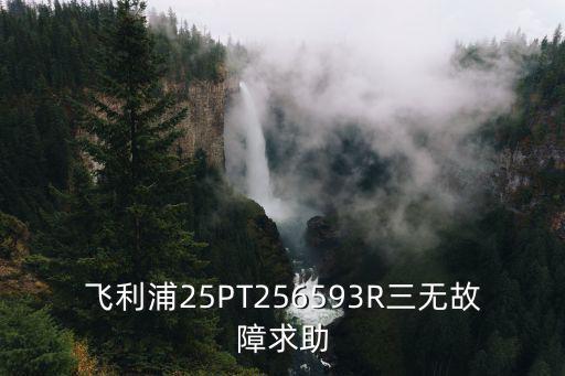 L32E3370B三无是哪里坏了，飞利浦25PT256593R三无故障求助