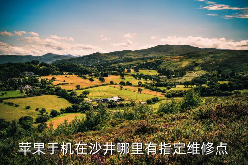 苹果手机在沙井哪里有指定维修点