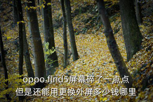 oppo flnd5屏幕碎了一点点但是还能用更换外屏多少钱哪里