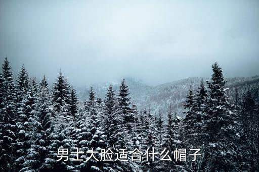 男士大脸适合什么帽子