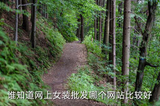 女装批发哪个网站便宜时尚，便宜服装批发网站有那些