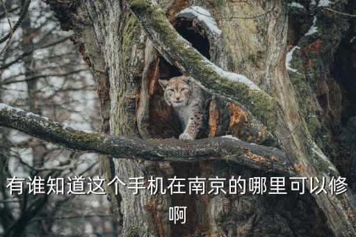 有谁知道这个手机在南京的哪里可以修啊