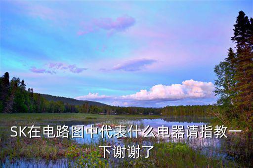 SK在电路图中代表什么电器请指教一下谢谢了